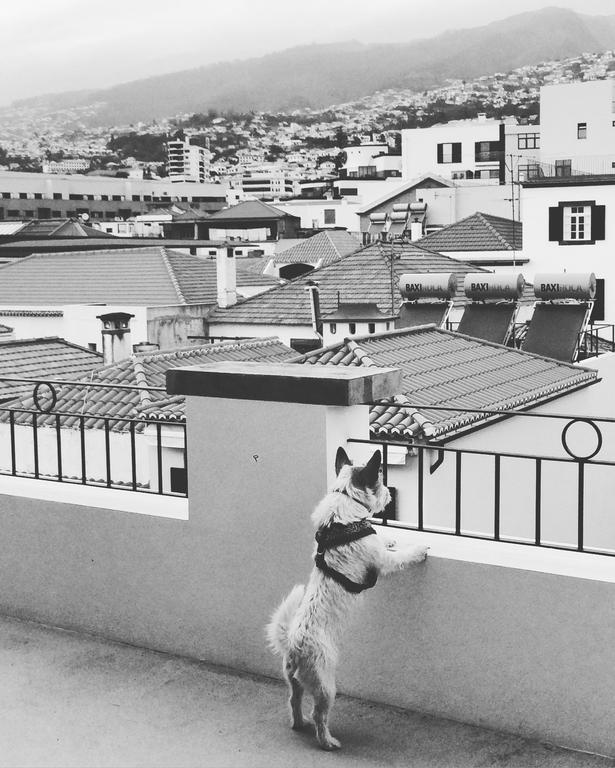 Endemic - Concept Apartment Funchal  Exterior foto