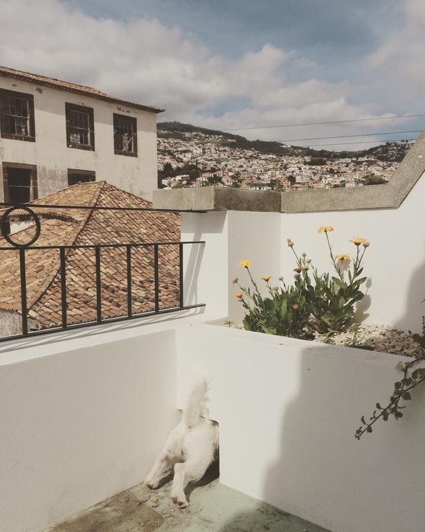 Endemic - Concept Apartment Funchal  Exterior foto
